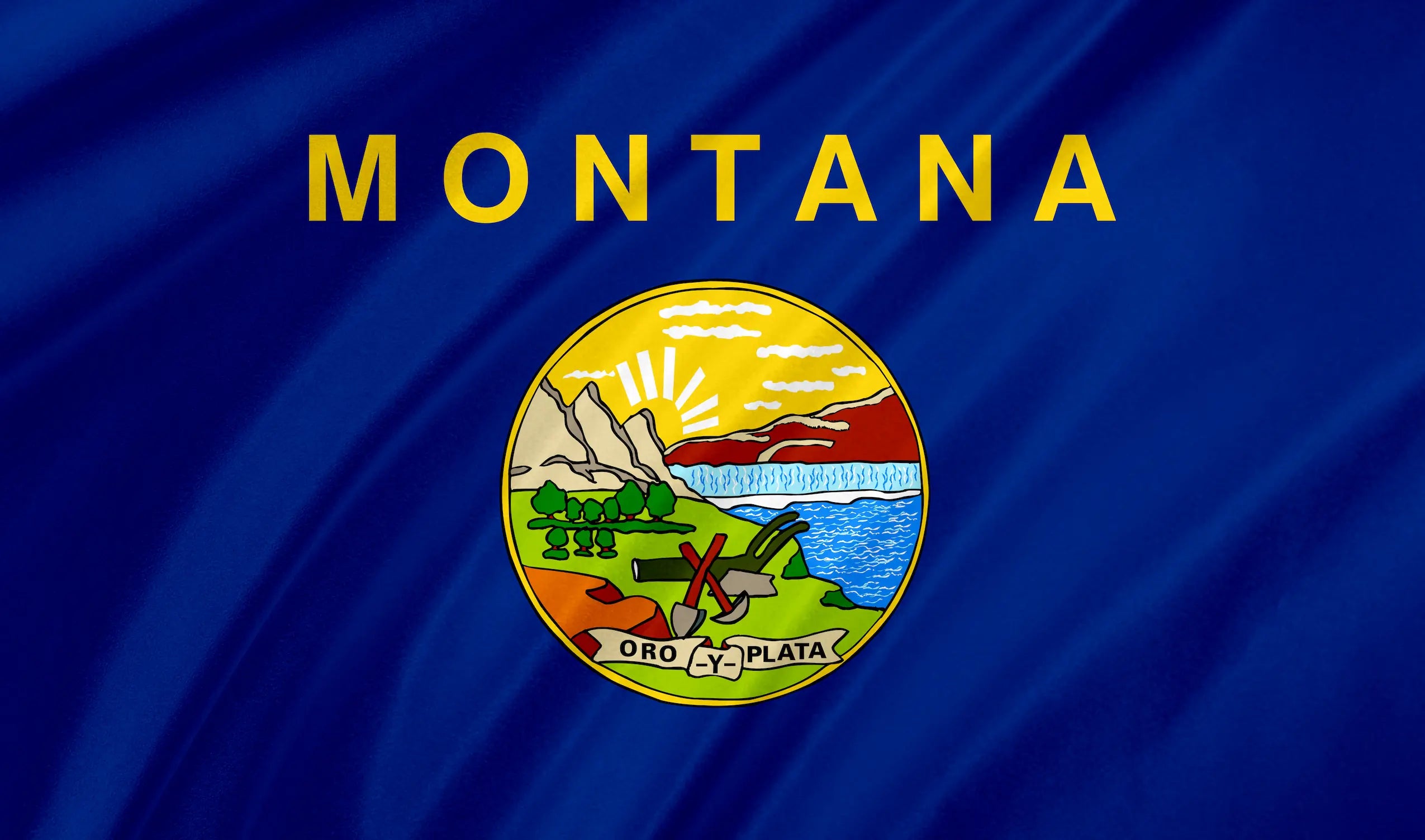 Montana State Reporting