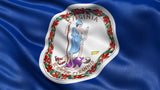 Virginia State Reporting
